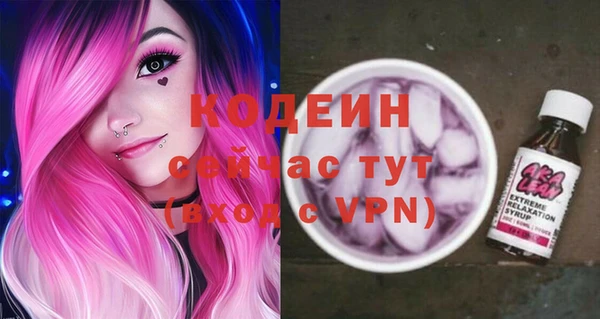 ECSTASY Болотное